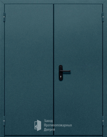 Фото двери «Двупольная глухая №37» в Рошале