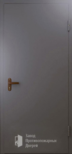 Фото двери «Техническая дверь №1 однопольная» в Рошале