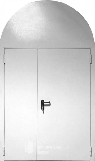 Фото двери «Арочная дверь №2» в Рошале