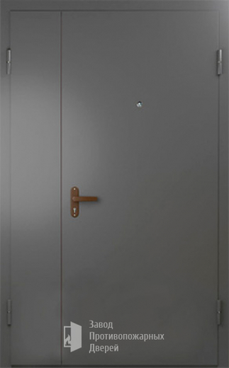 Фото двери «Техническая дверь №6 полуторная» в Рошале